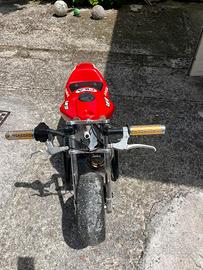 Mini moto da corsa 50 cc prezzo trattabile