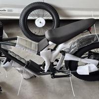Bici elettrica E-bike fat bike