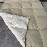 Piumino d'Oca Letto Singolo Beige Panna
