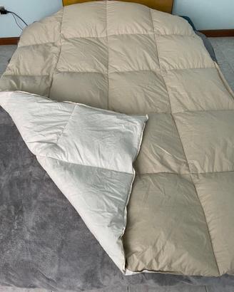 Piumino d'Oca Letto Singolo Beige Panna