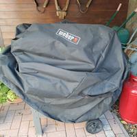 barbecue weber a gas spirit con fornello laterale