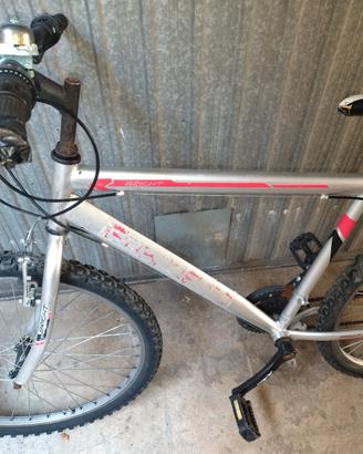 Bicicletta ragazzo raggio 26