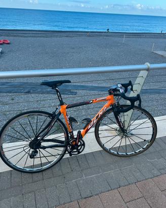 Bici da corsa olmo