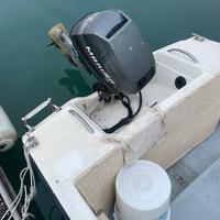 Barca 4.50 m con fuoribordo