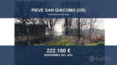 Immobile in asta di 14890 m² a Pieve San Giacomo