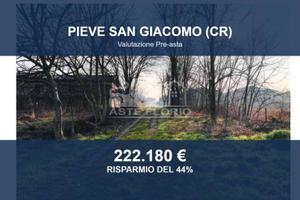 Immobile in asta di 14890 m² a Pieve San Giacomo