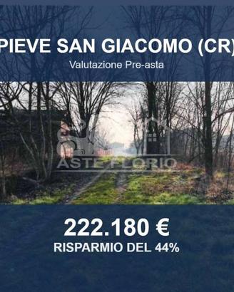 Immobile in asta di 14890 m² a Pieve San Giacomo