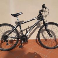 Mountain bike taglia 26
