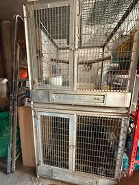 Voliera per pappagalli e altri animali