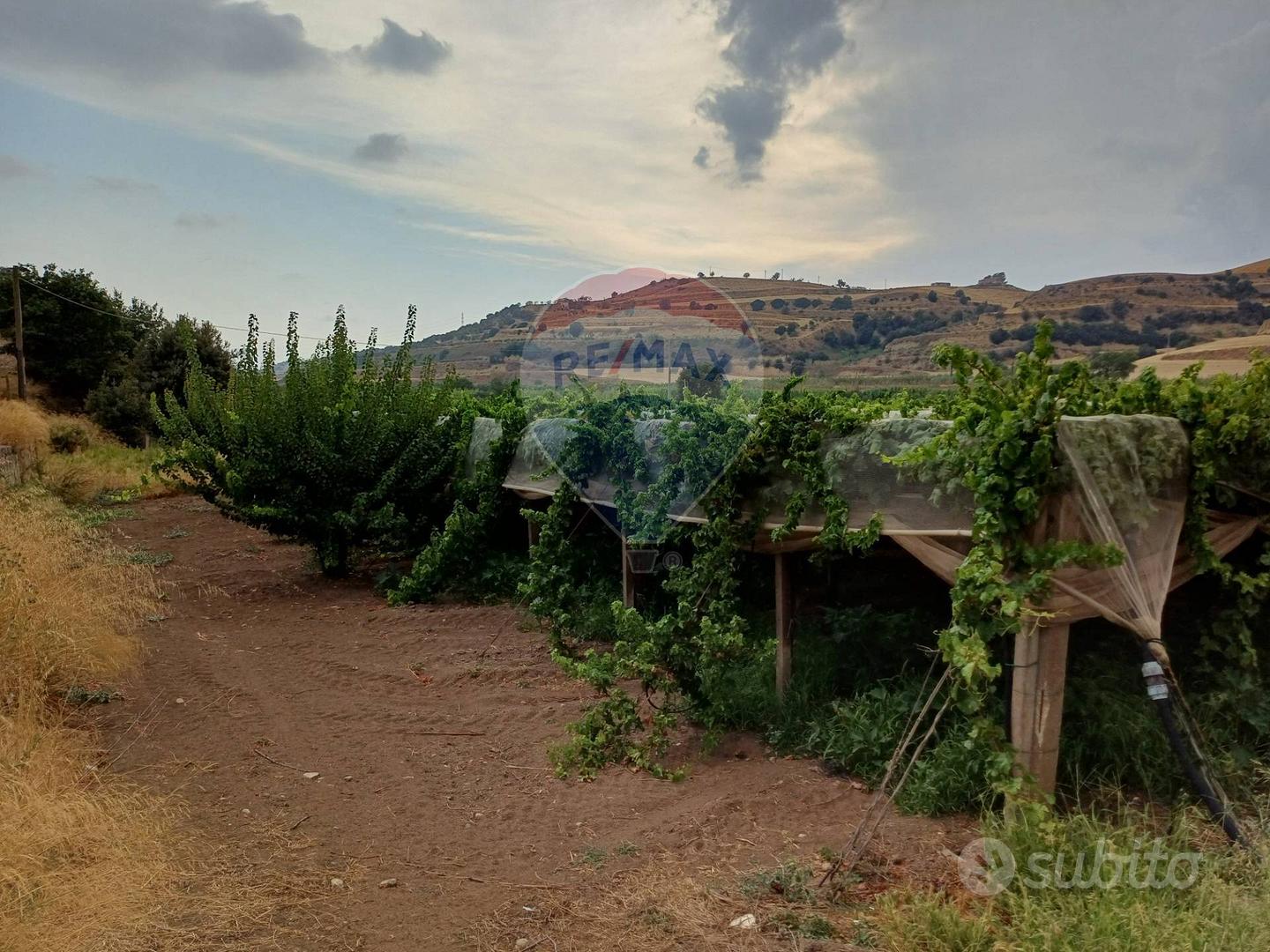 Terreno - Chiaramonte Gulfi - Vista 3
