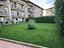 Immagine 11