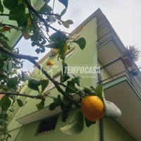 CERCHI UNO SPAZIOSO MAGAZZINO IN CENTRO A RIVA LIG
