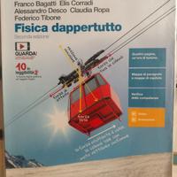 Fisica dappertutto