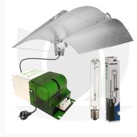 Kit Lampada philips 400 w