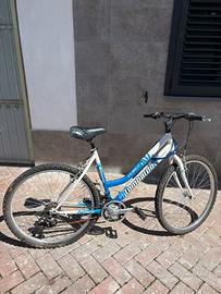 Mountain bike Lombardo 26
