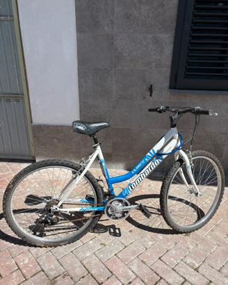 Mountain bike Lombardo 26