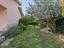 Immagine 15