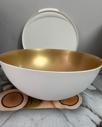 Ciotola Tupperware da 5 litri bicolore con coperch