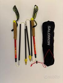 Bastoncini Leki e Salomon Custom Quiver