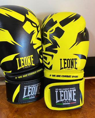 guantoni da boxe