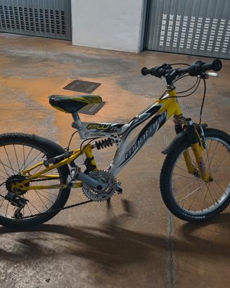 Bici 20 pollici