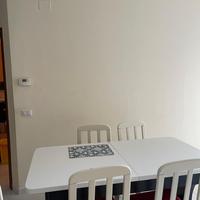 Tavolo in legno comprensivo di 4 sedie