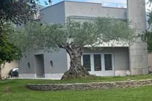 Villa nuova costruzione