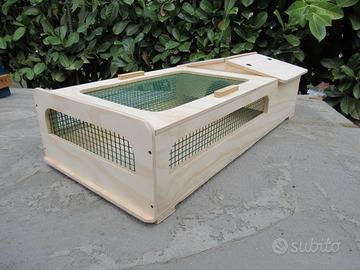 Terrario per tartarughe 80x40x20 Lati con Rete