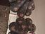 Immagine 4