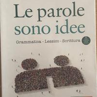 Libro 'le parole sono idee'