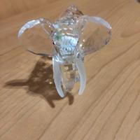 Swarovski elefante collezionisti