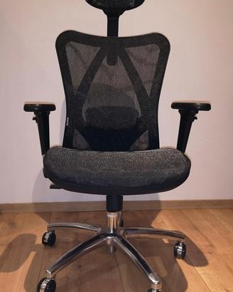 Sedia ergonomica e regolabile