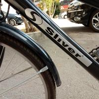 Tandem Silver