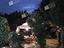 Immagine 29