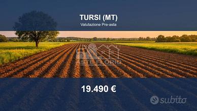 Immobile in asta di 49996 m² a Tursi
