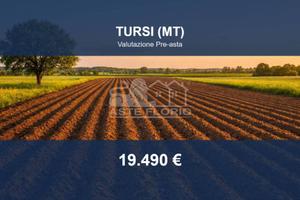 Immobile in asta di 49996 m² a Tursi