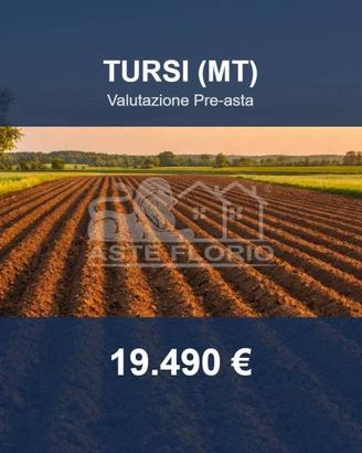 Immobile in asta di 49996 m² a Tursi