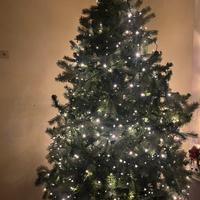 Albero di Natale con luci
