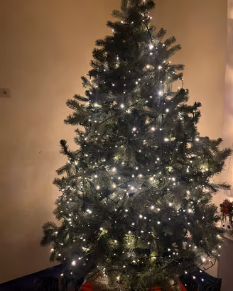 Albero di Natale con luci