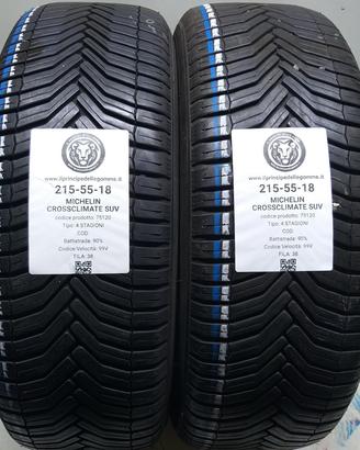 2 GOMME 215 55 18 MICHELIN A75120