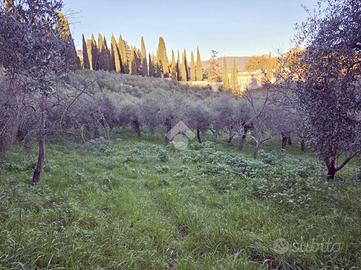 TER. AGRICOLO A MONTOPOLI DI SABINA