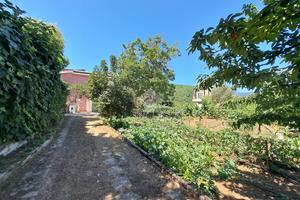 CASA SEMINDIPENDENTE A BARONISSI