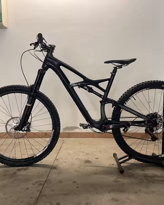 Specialized enduro expert L 29