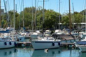 Barca a vela kudu