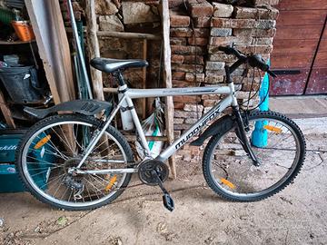 Bicicletta mountain bike