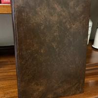 Libro di pittura  Enzo Pregno di Jolanda Pelagatti