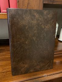 Libro di pittura  Enzo Pregno di Jolanda Pelagatti