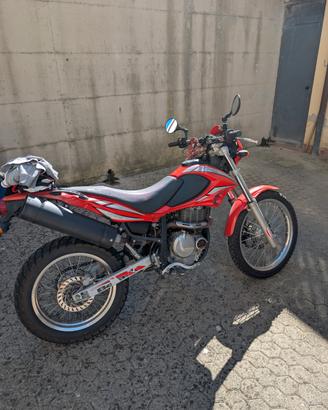 Beta Alp 4.0 350cc 2006