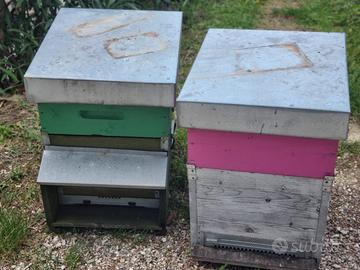 Arnie per apicoltura