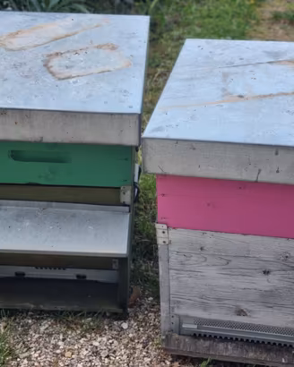 Arnie per apicoltura